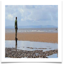 Contemplation - Jan Hodson 
